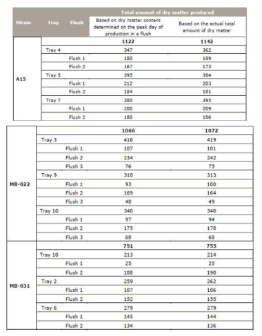 버섯의 수확량 측정 방법에 따른 건조중량