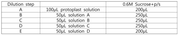 원형질체 용액(protoplast solution)의 5가지 희석용액 농도