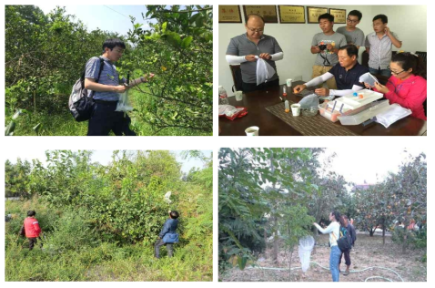 Sample collection in Zhejiang (upper) and Shandong (down)