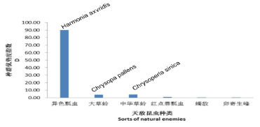 The population dominance of potential natural enemies for controlling R. shantungensis