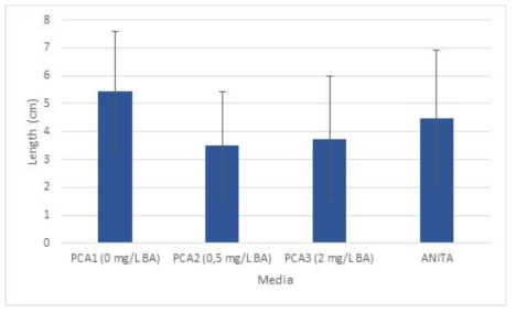 Comparison between 3 different BA concentrations in PCA and Anita after 3months of growth
