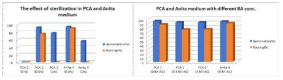 PCA medium 과 Anita medium 에서의 소독 및 BA의 효과