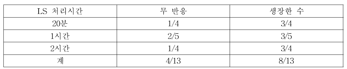 3가지 LS 처리시간별 1달 후 생장점의 생장현황