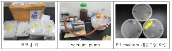 필리핀으로부터 시료 수령후 vacuum pump로 재소독 조건