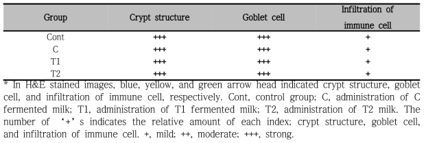Evaluation of gut tissue according to feeding the fermented milk