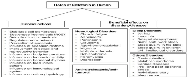 Roles of melatonin in human physiology (Arnao and Hernandez-Ruiz, 2018)