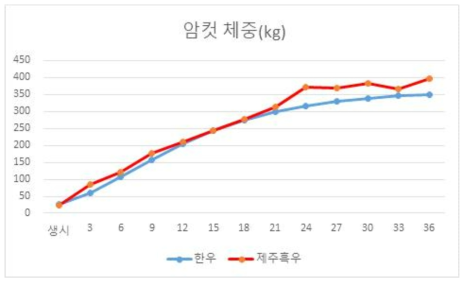 제주흑우 암컷과 한우 암컷의 월령에 따른 체중 변화