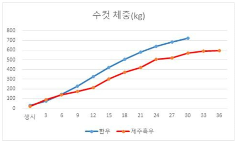 제주흑우 수컷과 한우 수컷의 월령에 따른 체중 변화