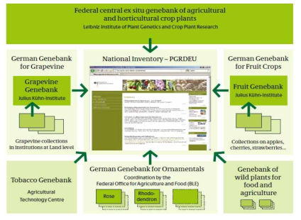 독일 식물유전자원의 현지외 보존 및 정보화체계