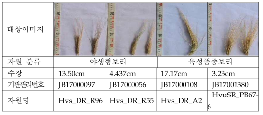 수장이 가장 긴 자원과 가장 짧은 자원