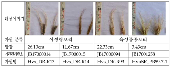 망장이 가장 긴 자원과 가장 짧은 자원