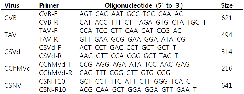 국화에 보고된 바이러스 진단용 프라이머 목록