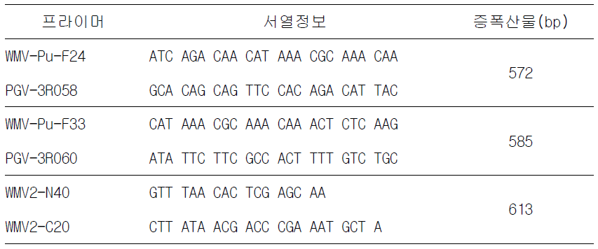 Watermelon mosaic virus(WMV) Insam strain 진단용 프라이머 정보
