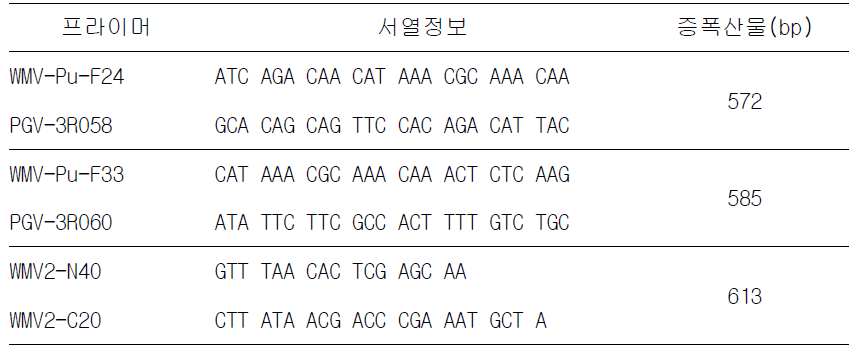 Watermelon mosaic virus(WMV) Insam strain 진단용 프라이머 정보