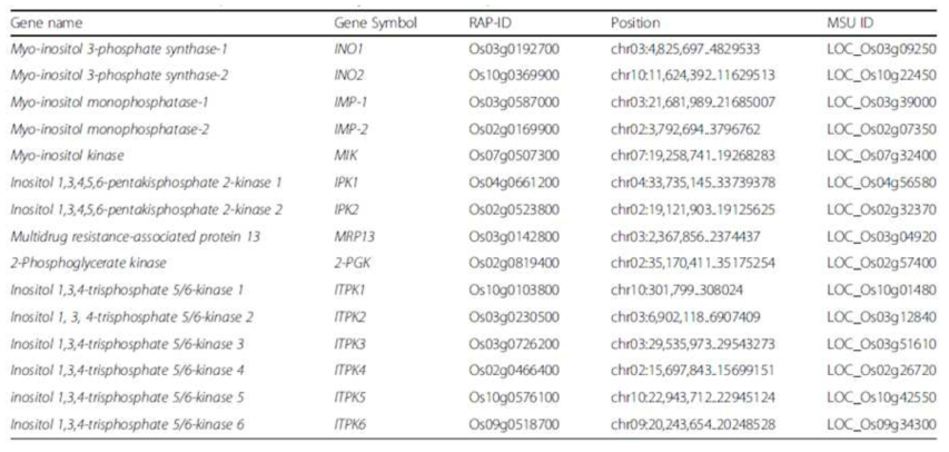 쌀의 PA 생합성 연관 유전자 리스트