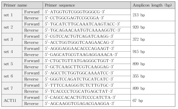 ITPK3 유전자 및 ACT11 유전자를 증폭하여 Sanger sequencing 설계된 primer 서열 및 증폭 산물 길이