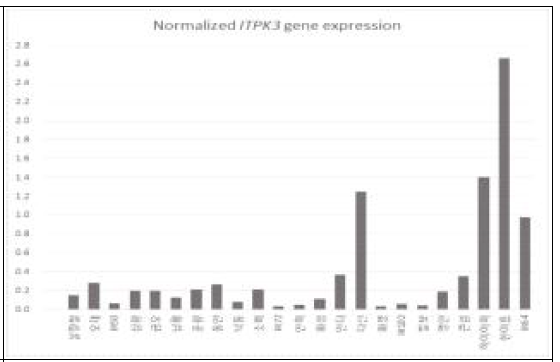 2차 real-time PCR을 통하여 측정된 표준화된 ITPK3 유전자 발현량 수치