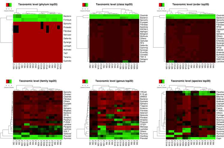 Phylogenic level에 따른 heatmap clustering