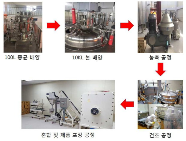 미생물 배양 및 제품 포장