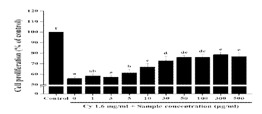 장흥황칠 된장 시료가 Cy에 의한 세포 증식율에 미치는 영향(24시간)