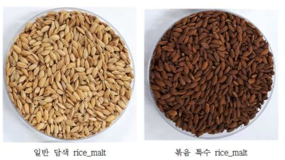 제조된 Rice Malt