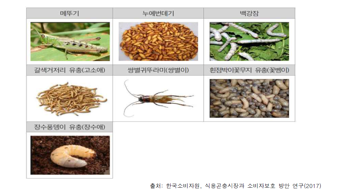 식용곤충의 종류