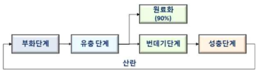 갈색거저리 사육 단계