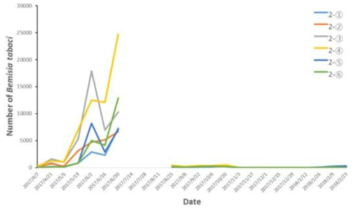 논산 2번 비닐하우스 내 끈끈이트랩에서 2017년 4월∼2018년 2월에 포획된 담배가루이 발생량