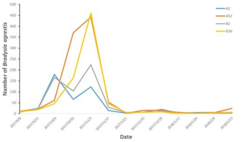 스마트팜 내 50cm 끈끈이트랩에서 2017년 9월∼2018년 2월에 포획된 작은뿌리파리 발생량