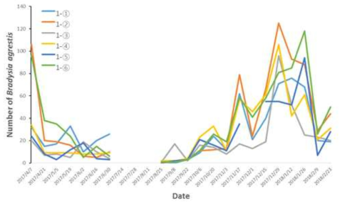 논산 1번 비닐하우스 내 끈끈이트랩에서 2017년 4월∼2018년 2월에 포획된 작은뿌리파리 발생량