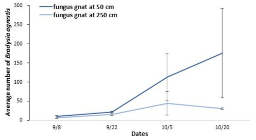 스마트팜 내 50, 250cm 끈끈이트랩에서 2017년 9∼10월에 포획된 작은뿌리파리 발생량