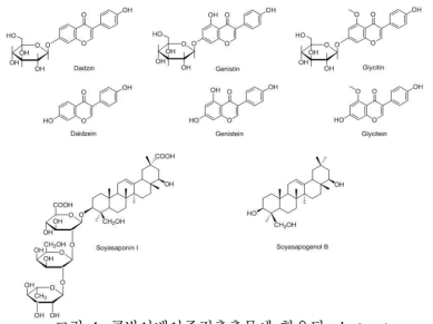 콩발아배아주정추출물에 함유된 phytoestrogen