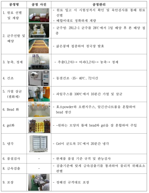 나토키나제 함유 bead-gel 화 시제품의 제조공정 및 품질기준