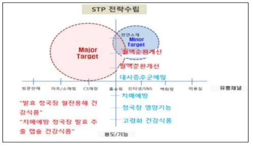 STP 전략수립 체계도