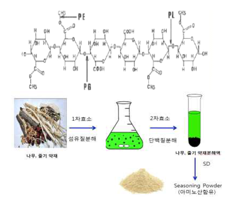 Enzyme Activity with pectin