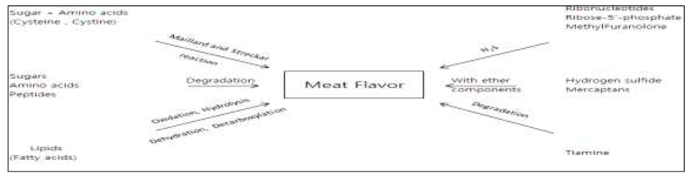 precursors and types of reactions leading to meat flavor