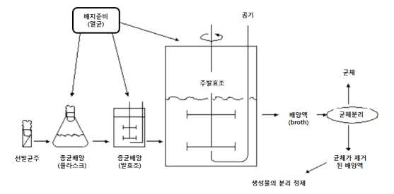 종균 액상 배양 모식도