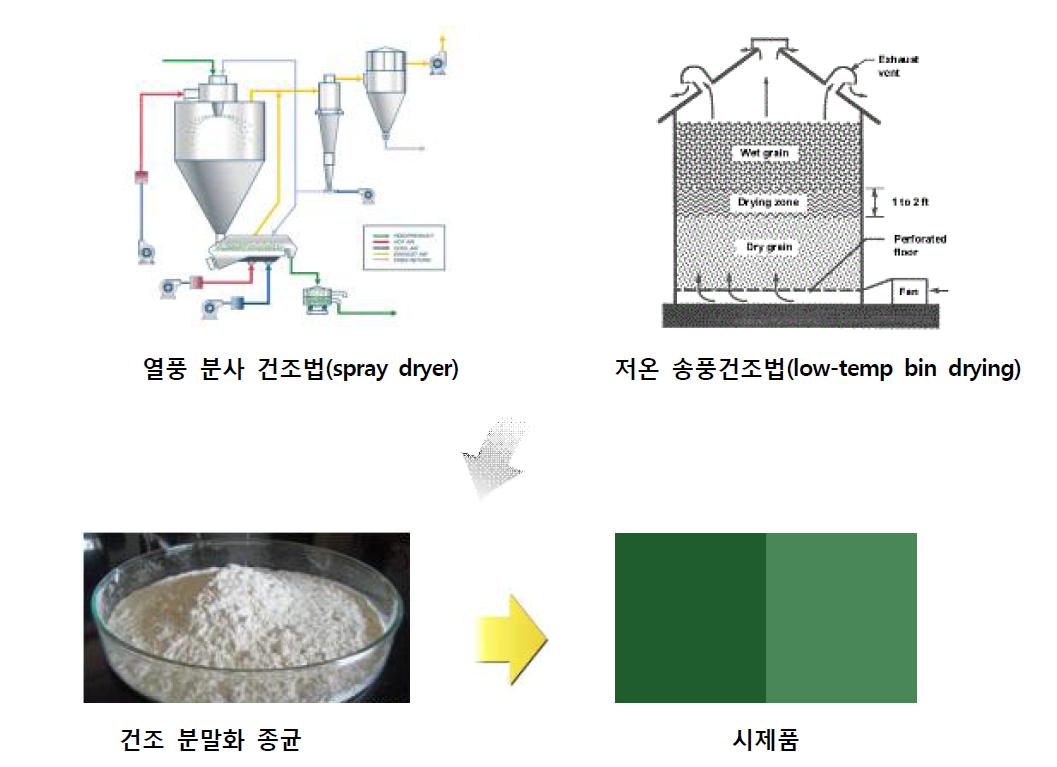 건조 방법 및 시제품 개발 모식도