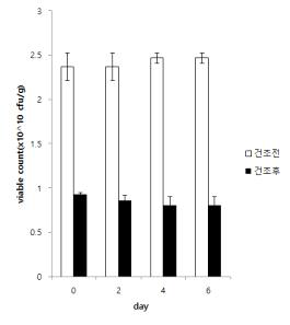 동결 건조 전·후 균수 변화
