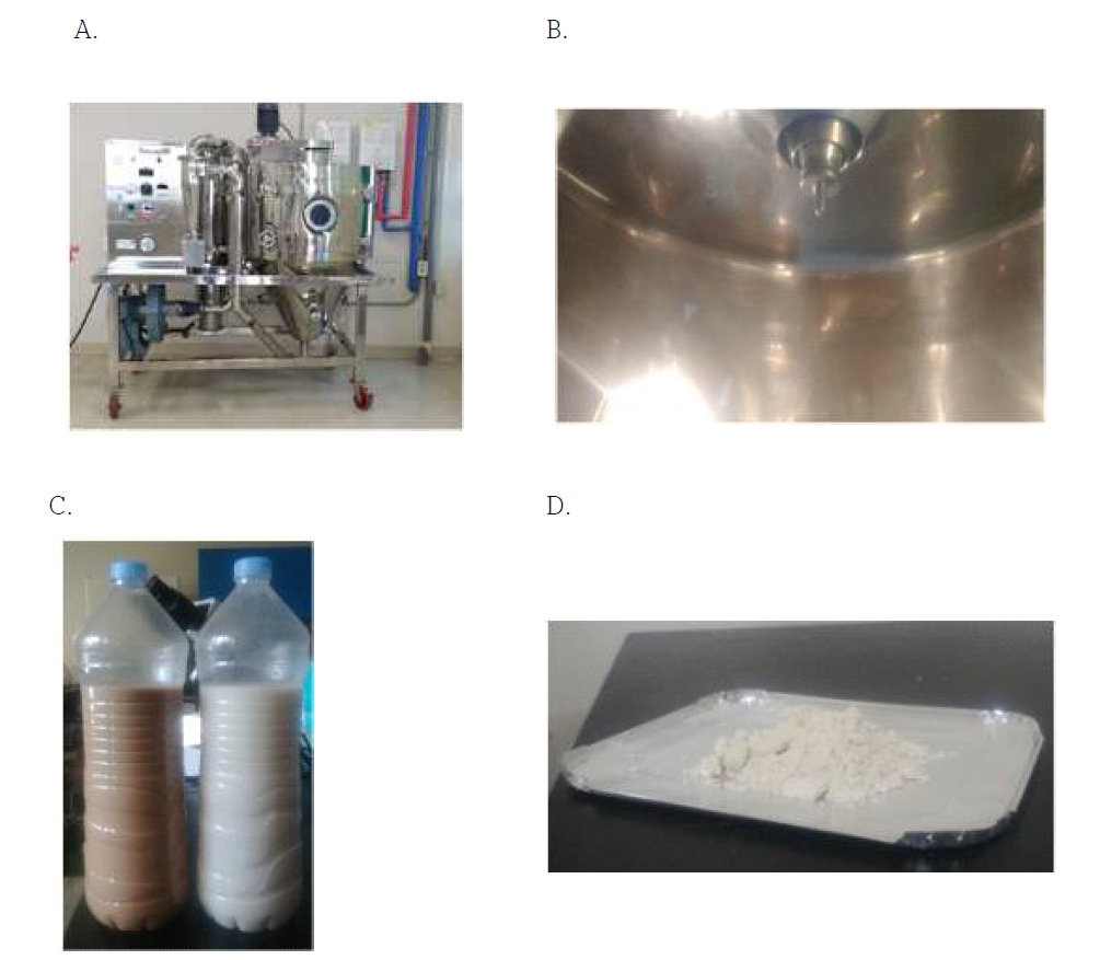 분무건조과정(A; 분무건조기 외관, B; 분무방식, C; 배양액, D; 건조물)