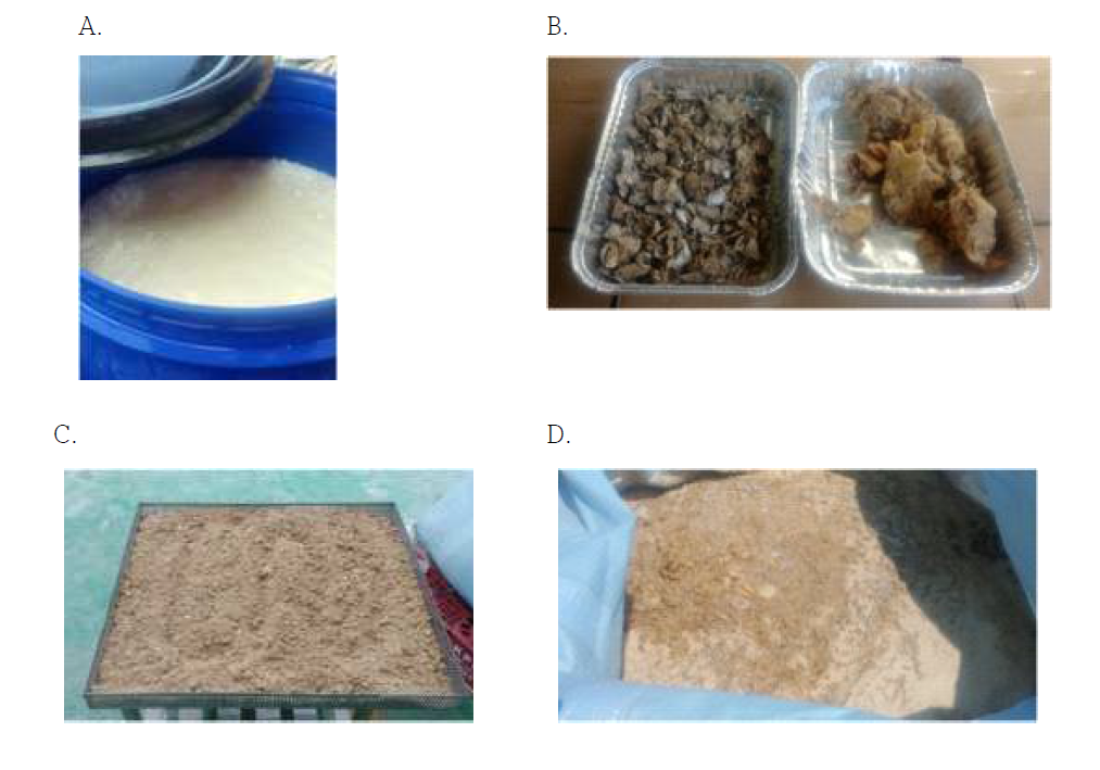 저온송풍건조과정 (A; 액상배양액, B; 건조 전 후, C; 4루베 건조, D; 건조물 500kg)