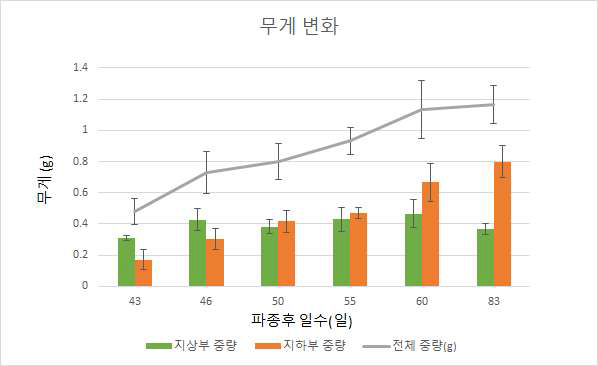 파종 후 묘삼의 무게변화