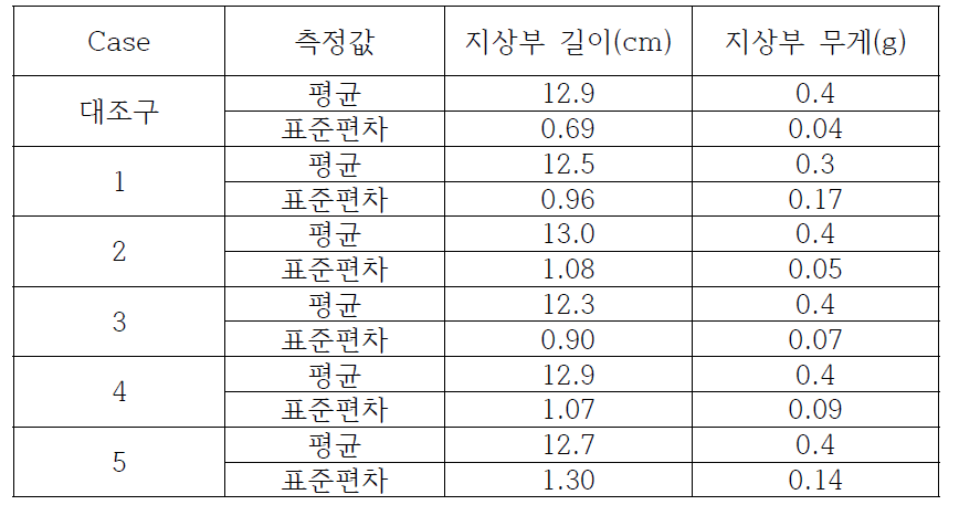 처리별 지상부 형질