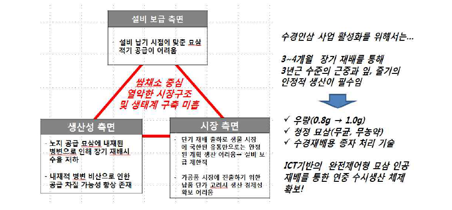 수경인삼 사업 활성화 과제 및 해결 방안