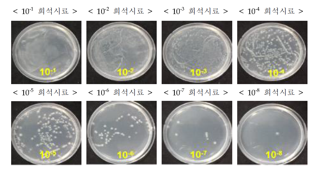 액상 제형 시작품 내 유효미생물(B. thuringiensis HARI042) 생균수 측정