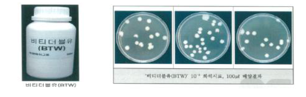 시제품(비티더블유) 내 미생물 생균수 측정