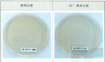 시제품(비티더블유) 내 병원성 대장균 검사시험