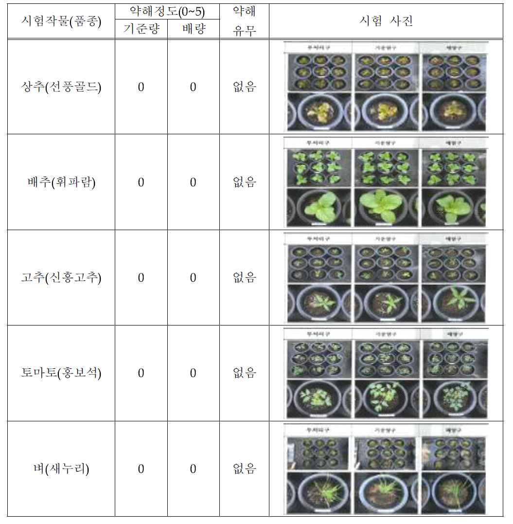 액상 제형 시제품(비티더블유) 작물 약해시험