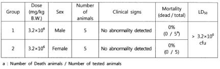 급성경피독성 시험기간 중 일반중독증상 및 치사동물
