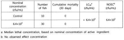 잉어에 대한 LC50 및 무영향농도